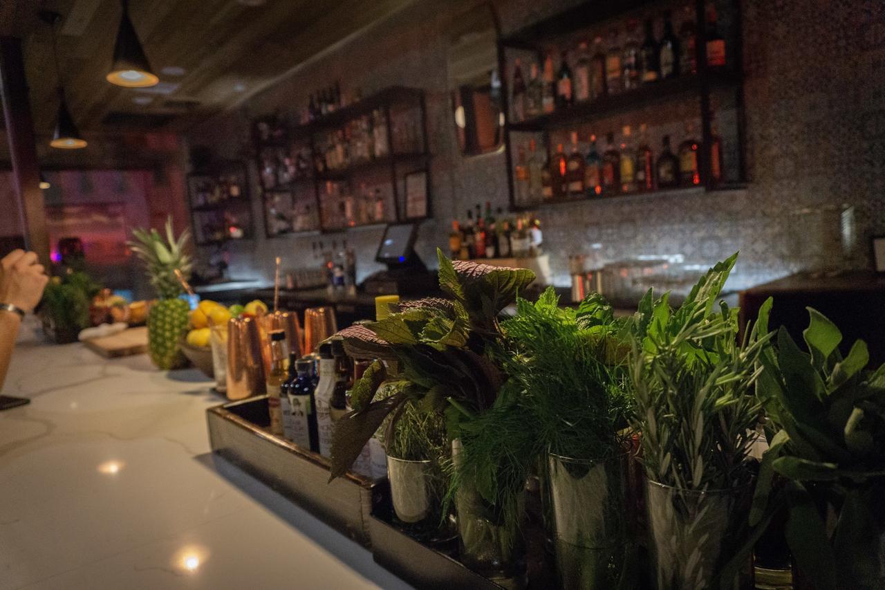 Deep Ellum - Adults Only